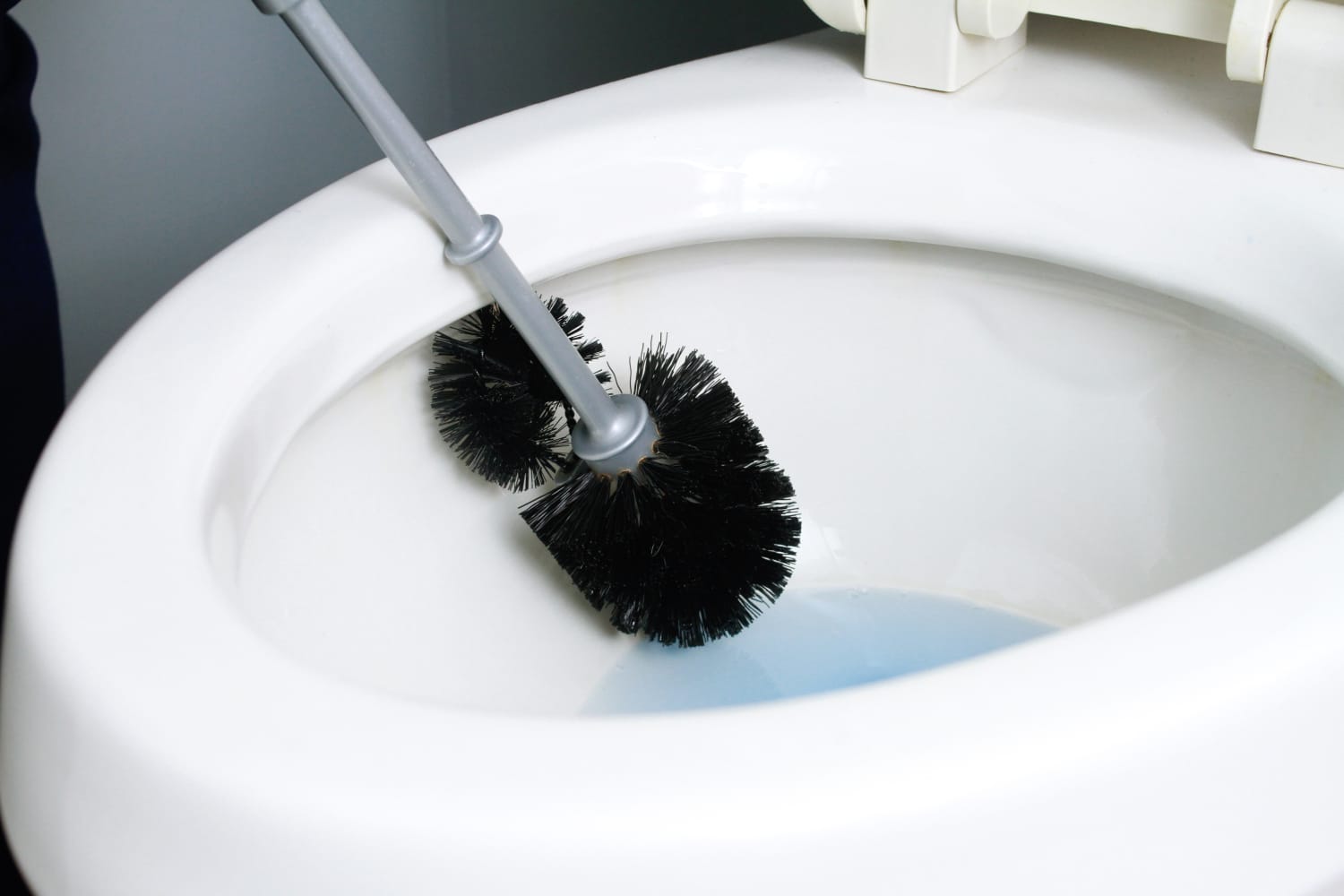 Ways To Keep Your Toilet Brush Holder Clean and Sanitized Apartment
