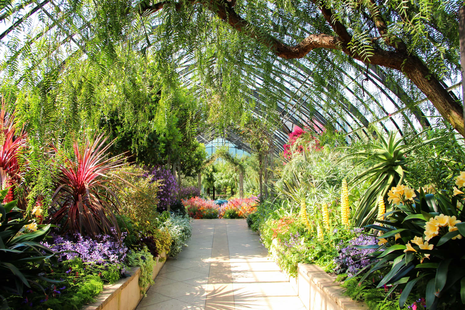 9 of the Biggest Botanic Gardens to Visit in the U.S. Apartment Therapy
