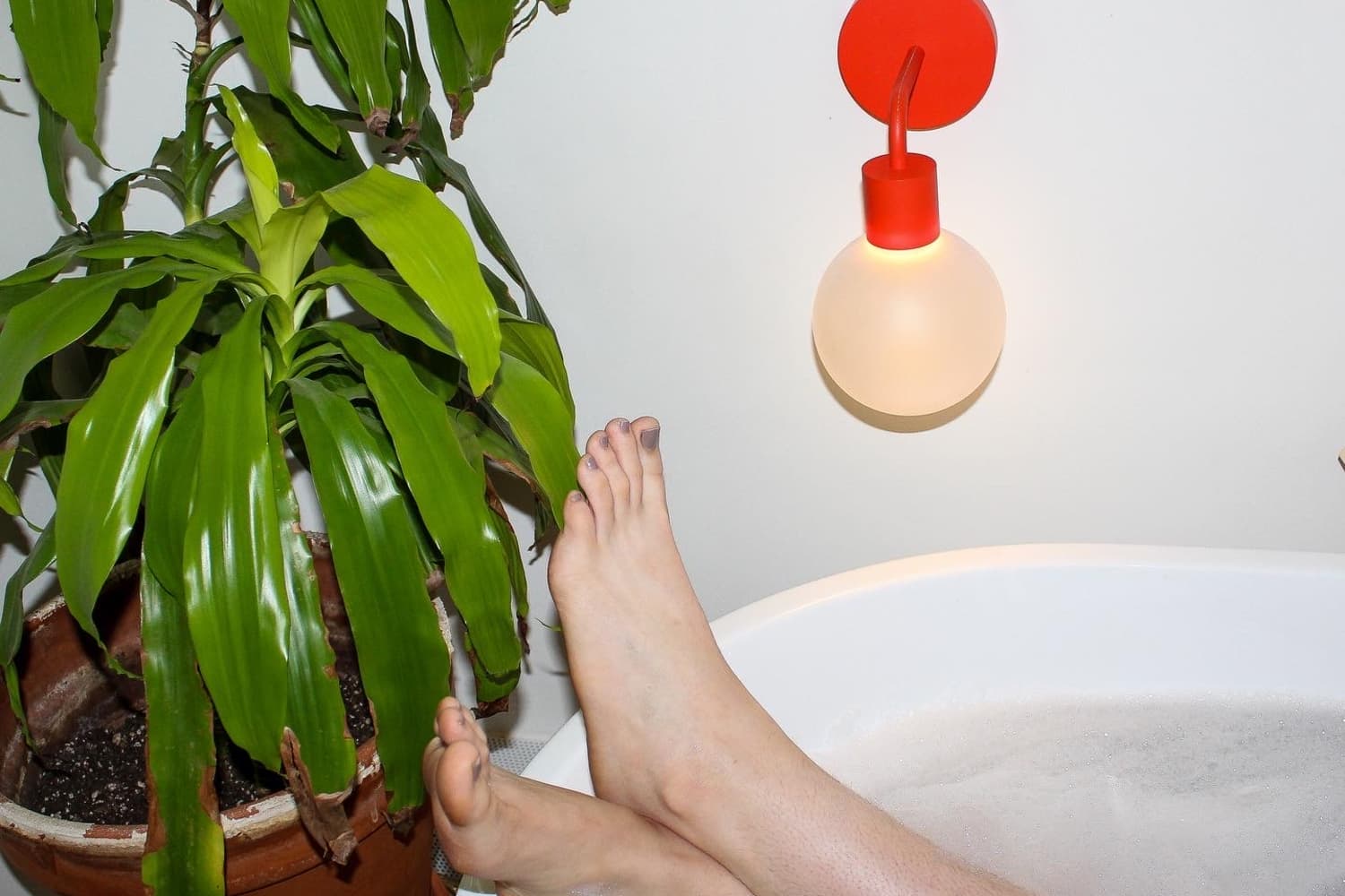 Renter friendly sconces cheap