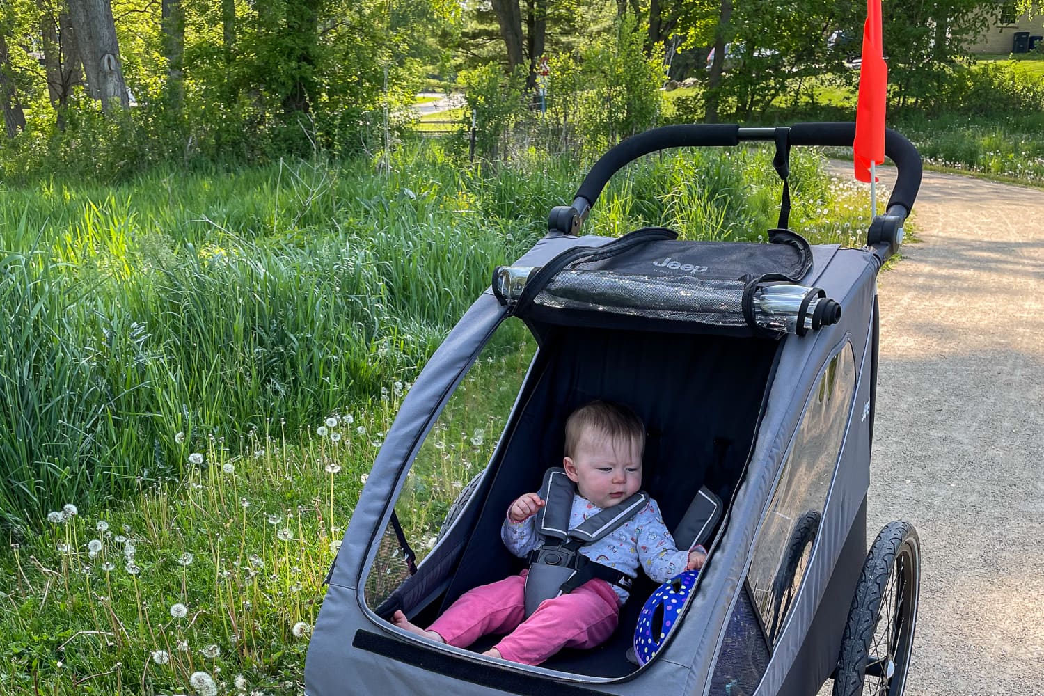 Review The Jeep Everest 2 in 1 Bike Trailer and Stroller Cubby