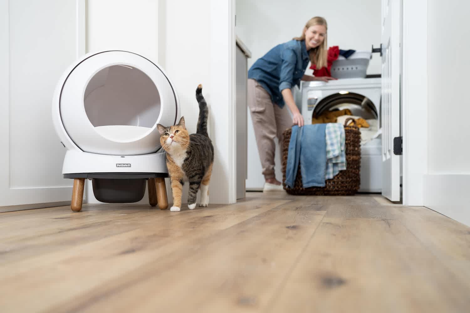 I Tested PetSafe’s SelfCleaning Litter Box Review & Photos