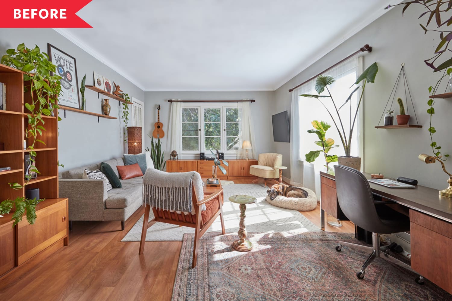Before & After: Warm Earthy Colors Tie This 736-Square-Foot Home ...