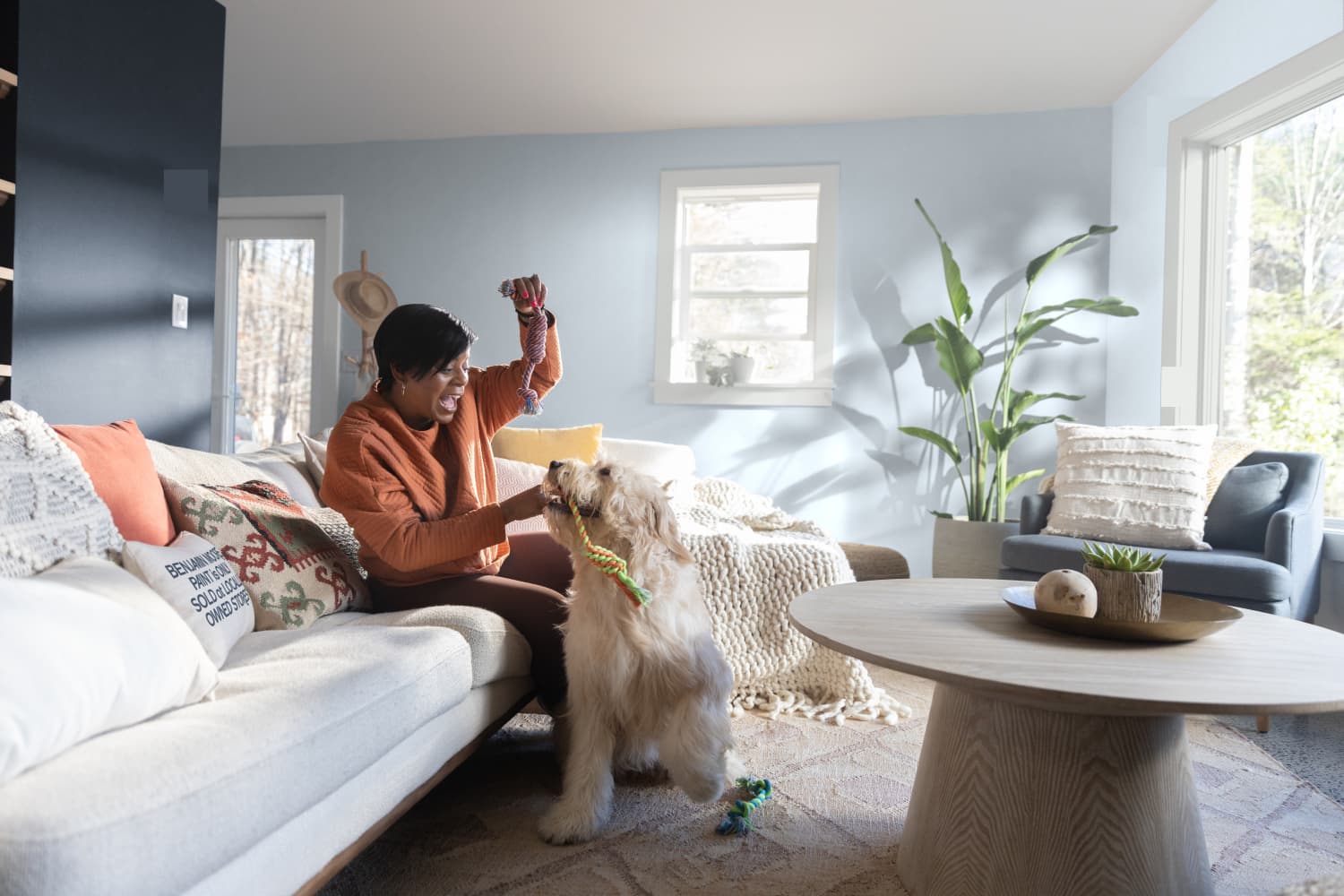 Curated visual reference: Picture Idea: 5 Must Know Tips For Pet Proofing Your Home