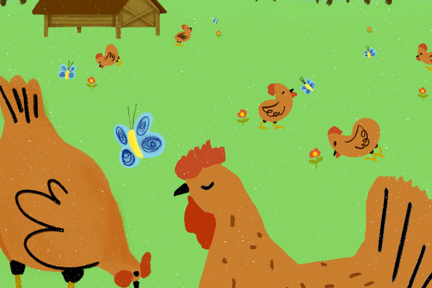 4 Things You May Not Have Known About Eggs…and the Hens Who Make Them