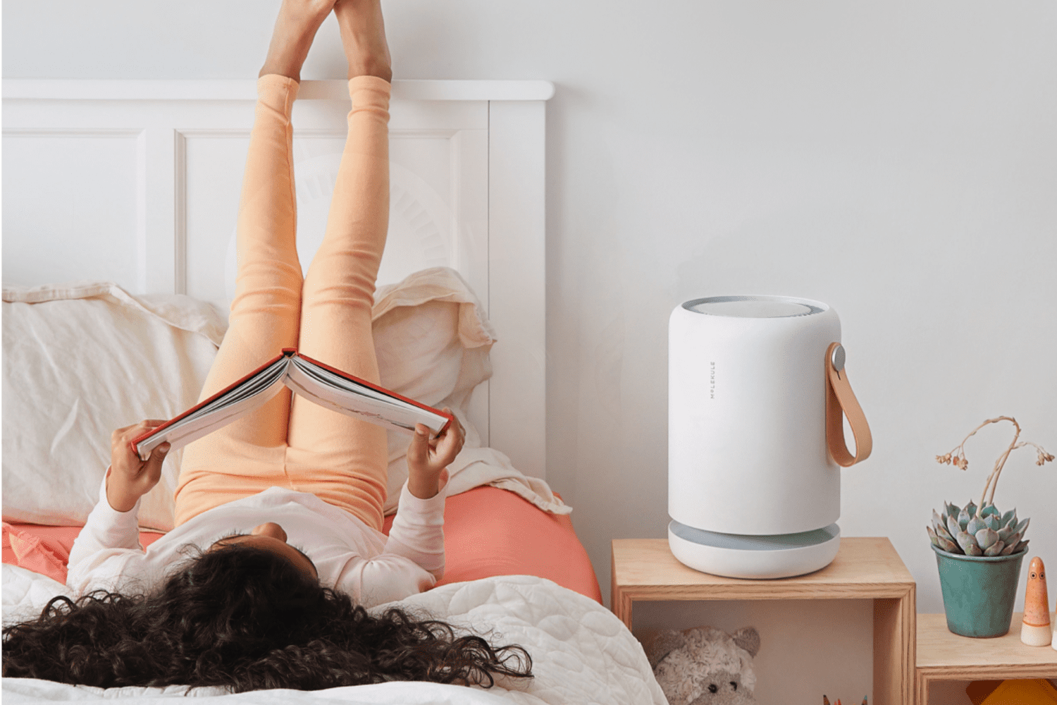 Molekule air large room air purifier shop