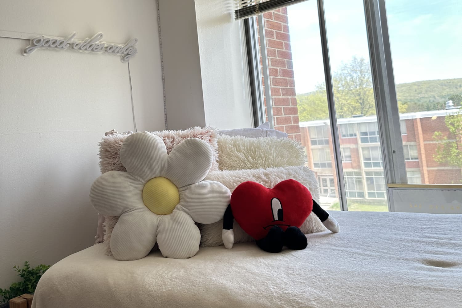 Tour This SUNY Oneonta RA's Organized Single Dorm Room Dorm Therapy