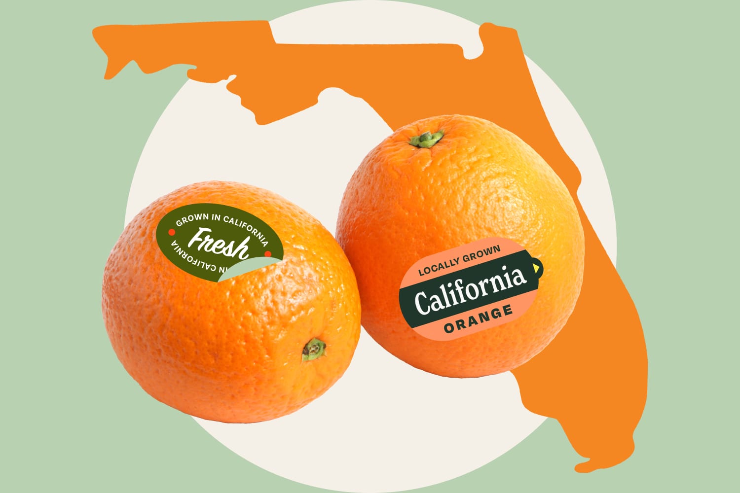 Wait, Why Are Florida Grocery Stores Filled with California Oranges?