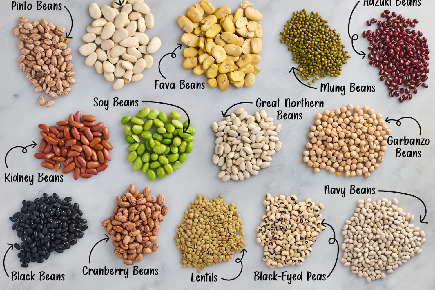 A Home Cook’s Guide to 14 Types of Beans