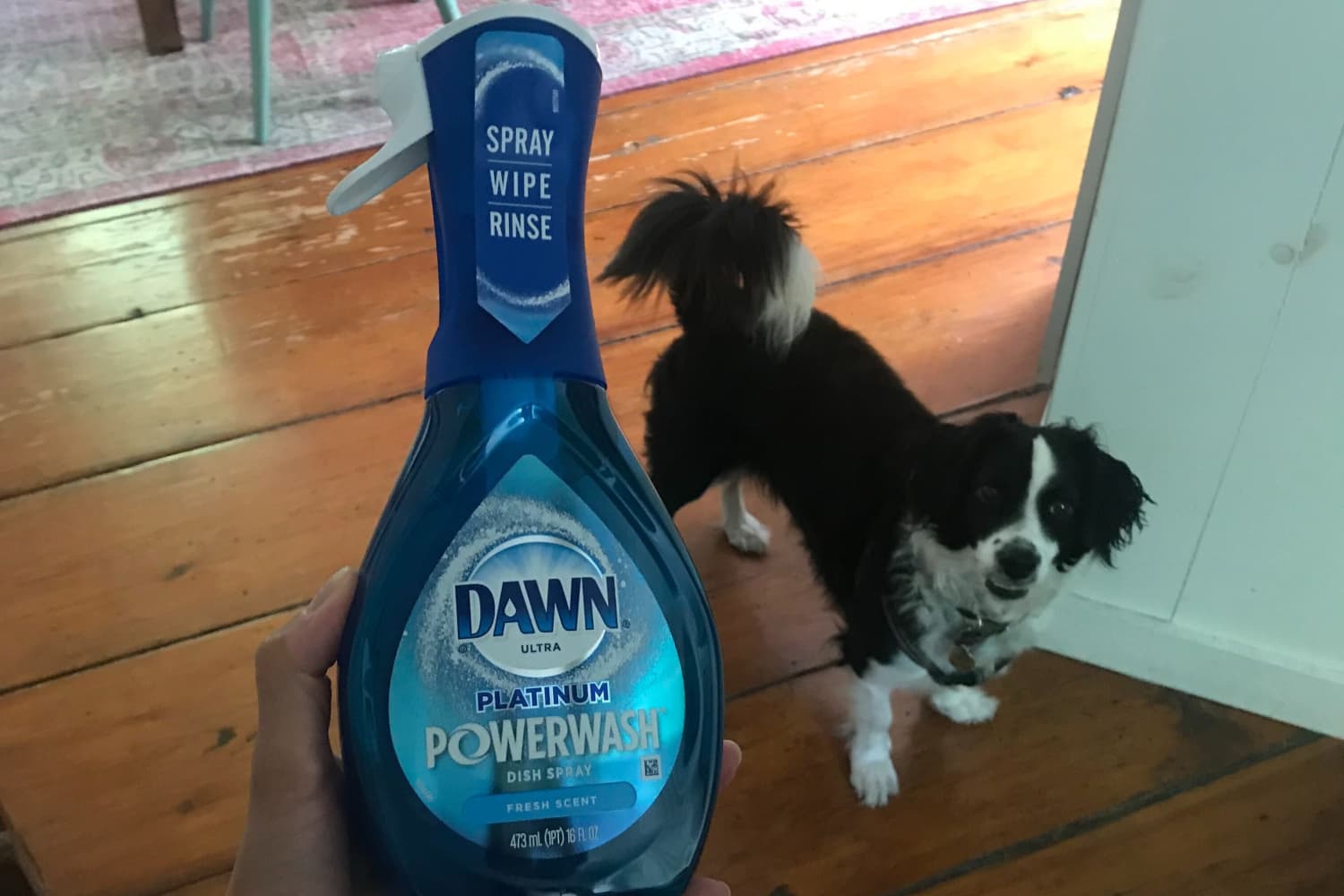 14 Surprising Ways to Clean with Dawn Powerwash