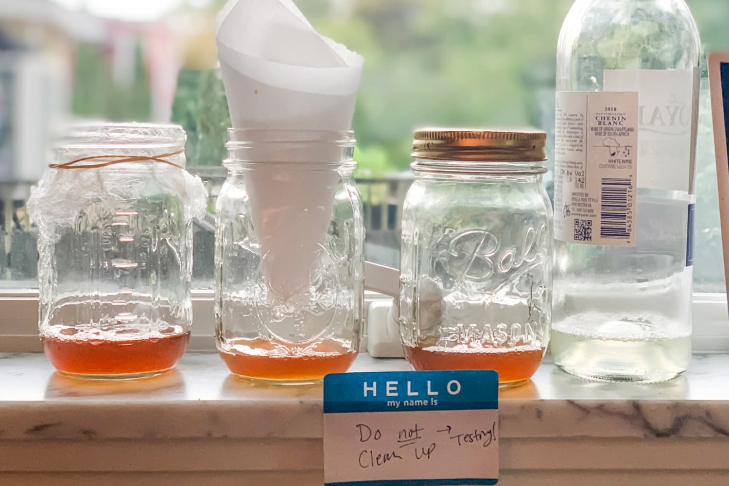 DIY Fruit Fly Trap {How to Get Rid of Fruit Flies!}