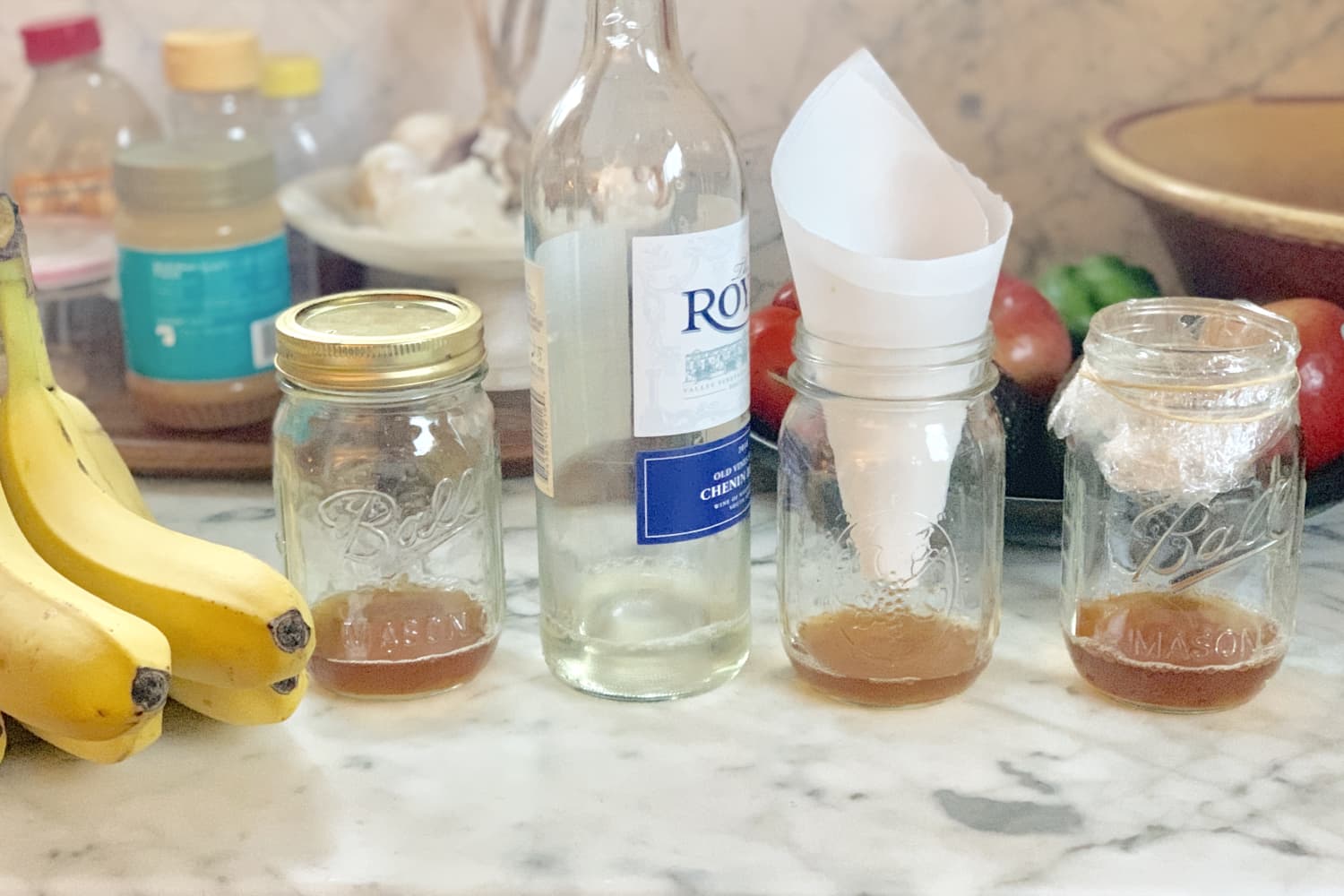 DIY Fruit Fly Trap {How to Get Rid of Fruit Flies!}