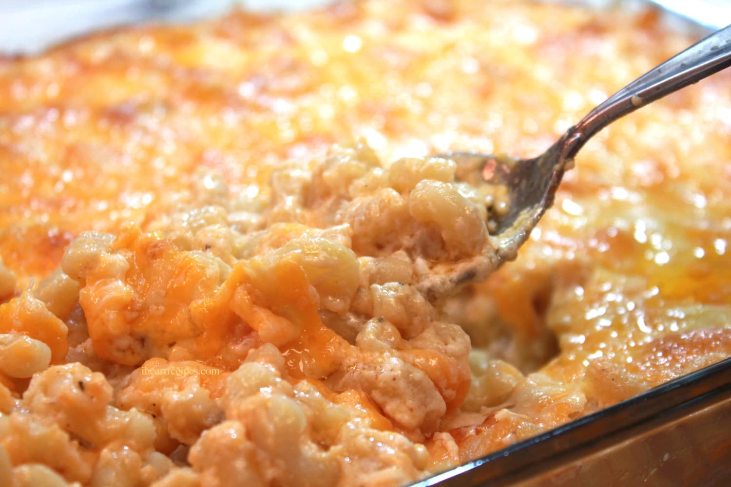 Rosie Mayes's Southern Baked Macaroni and Cheese Casserole | Kitchn
