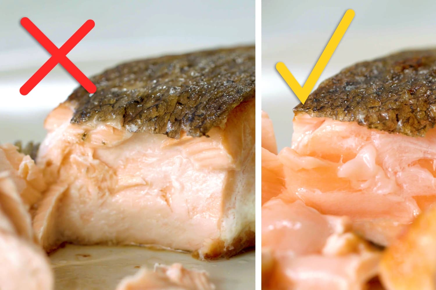 Best Way to Cook Salmon | Kitchn