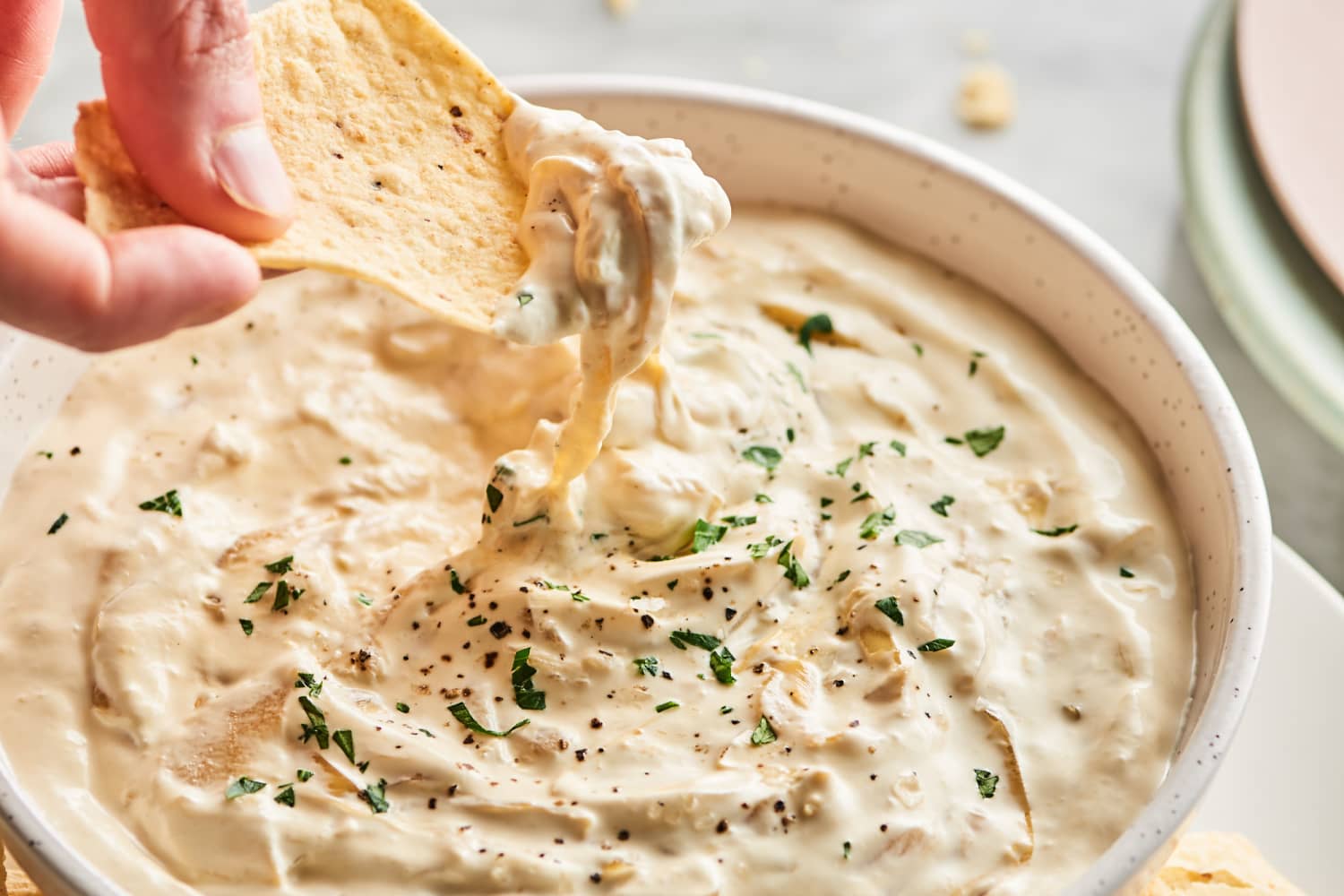 Caramelized Onion Dip The Kitchn