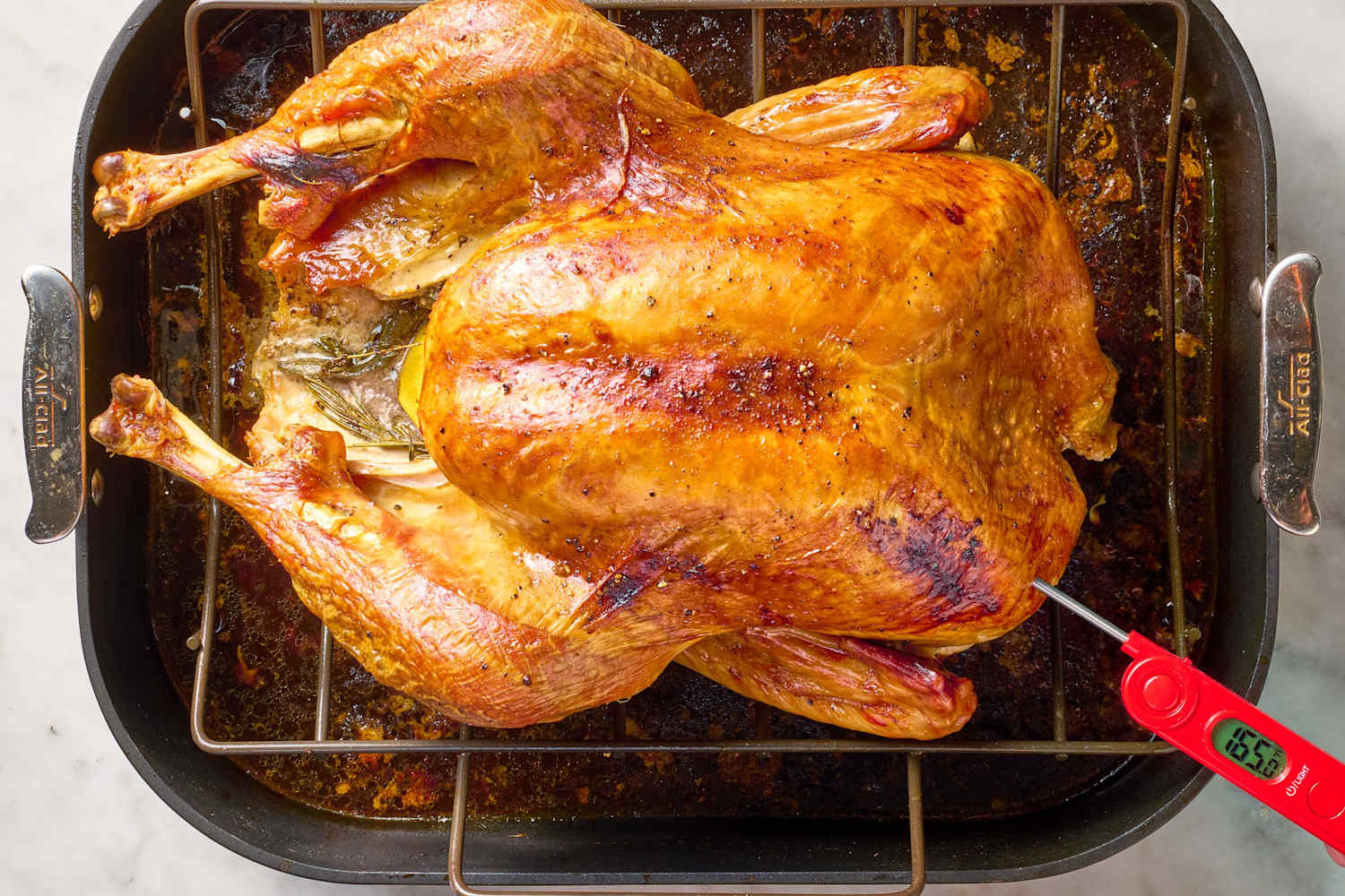 How (and Where) to Check a Turkey's Temperature for Doneness The