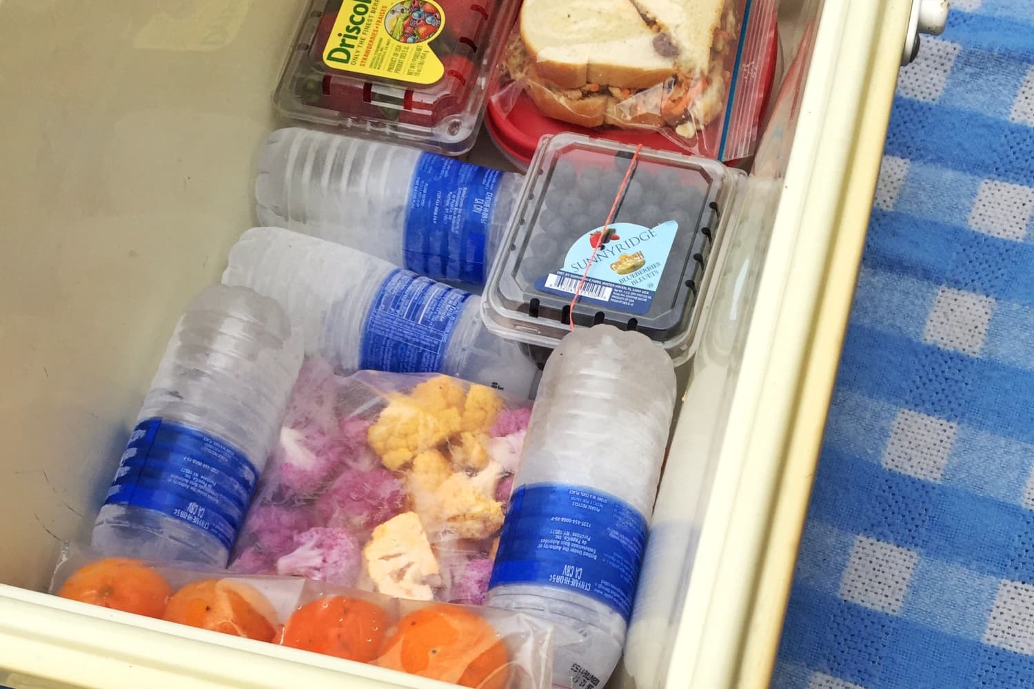 Still Using Bagged Ice In Your Cooler? There's A Better Way! | Kitchn