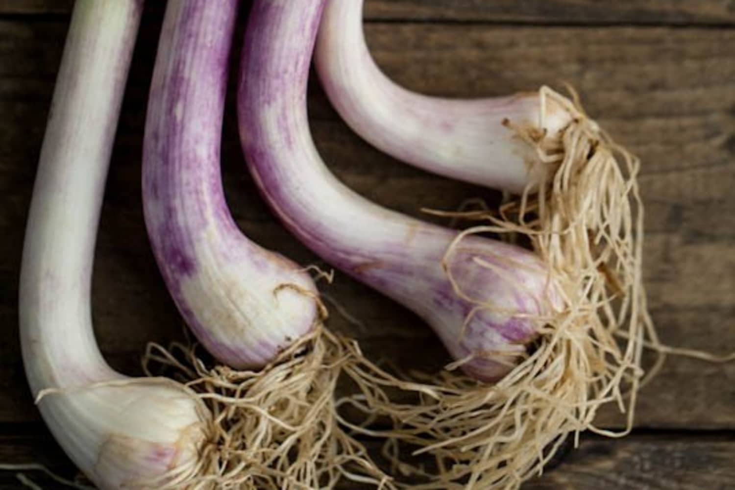 Why Spring Garlic Is the Best Garlic