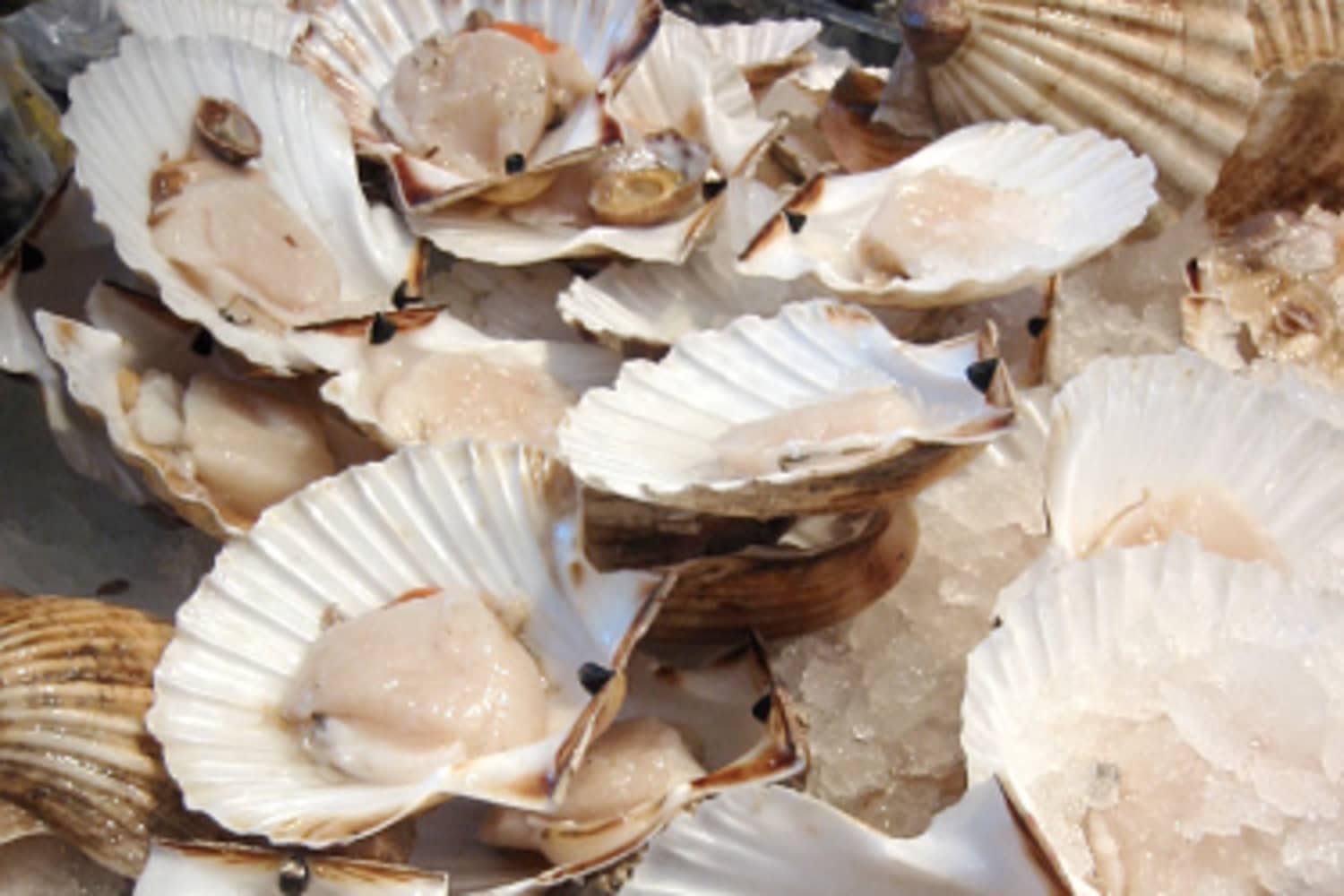 What S The Difference Wet Dry And Diver Scallops Kitchn