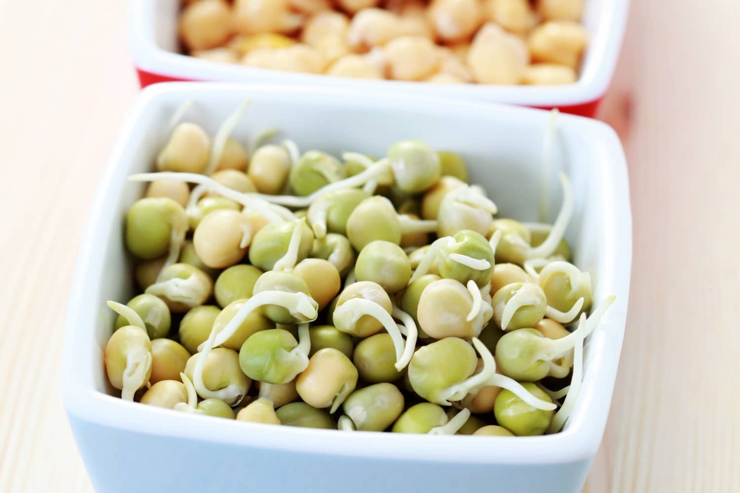 Sprouting Beyond Grains: Yes, You Can Sprout Nuts, Seeds & Beans | The  Kitchn