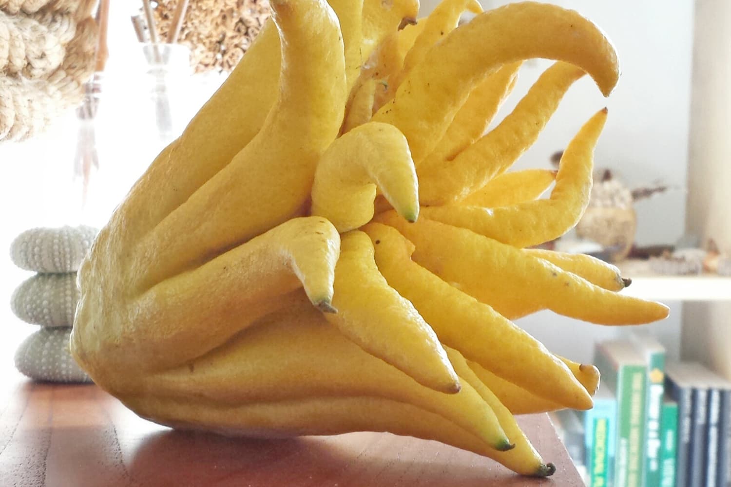 Buddha Fruit 