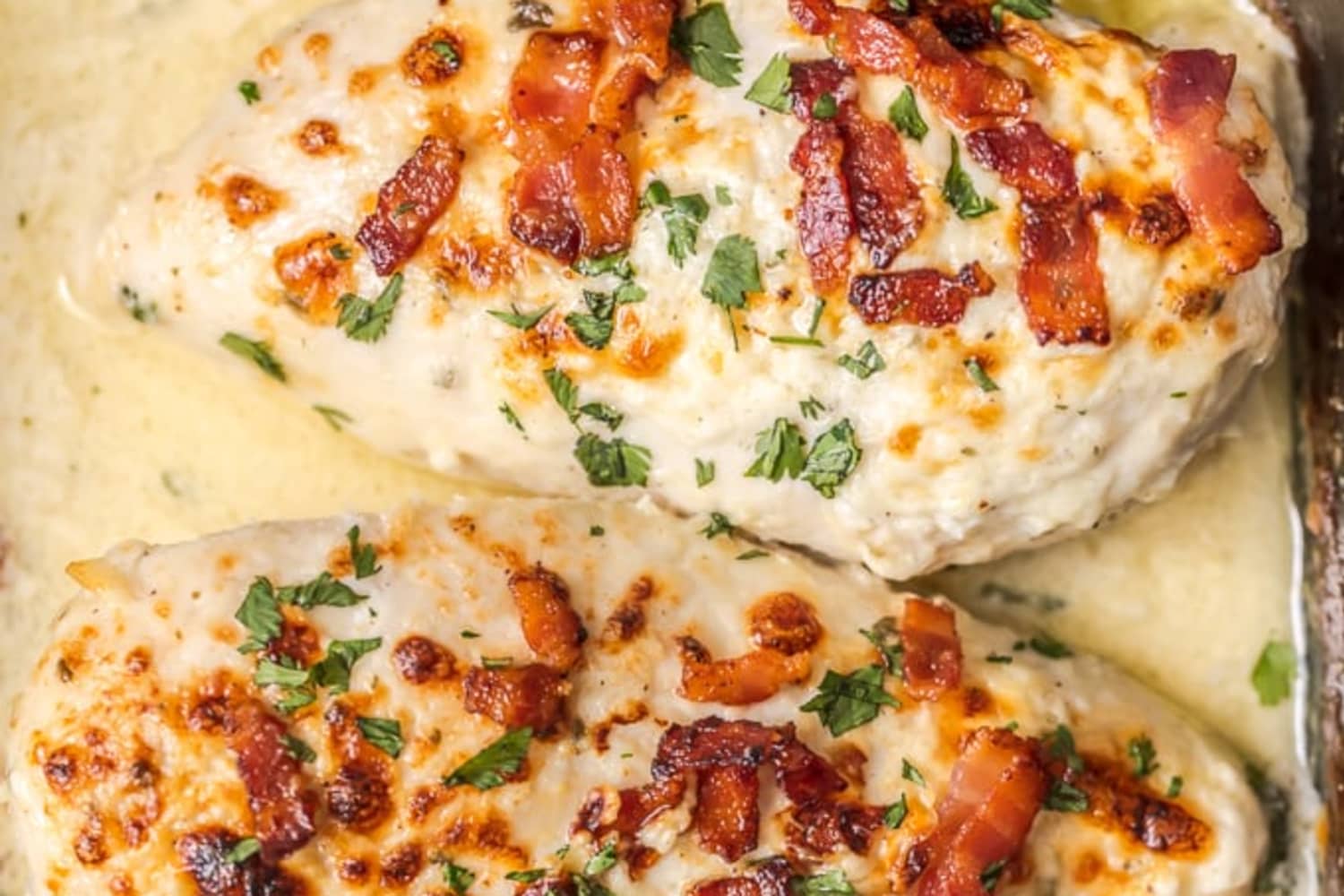 chicken breast with cream cheese and ranch dressing Creamy Ranch Chicken