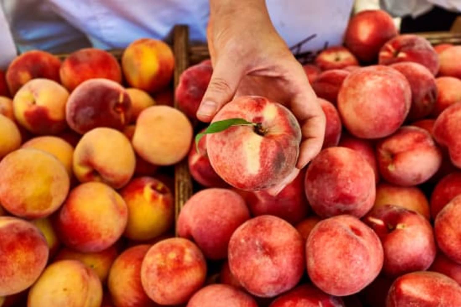 Was ich in Frankreich über den Einkauf von frischem Obst und Gemüse ...