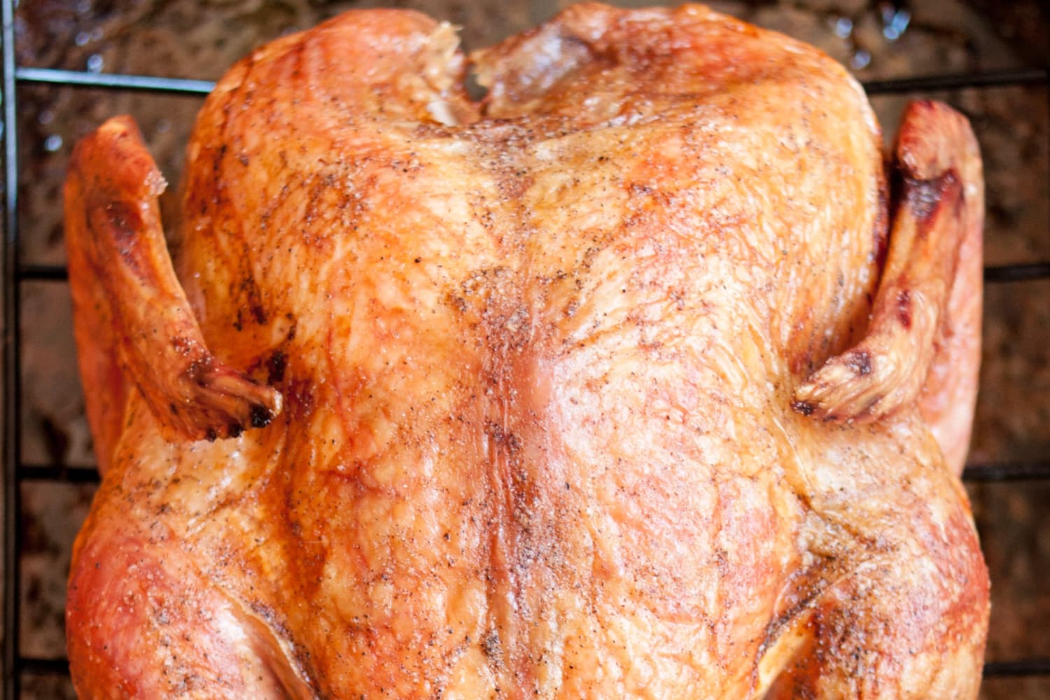 How To Cook a Frozen Turkey