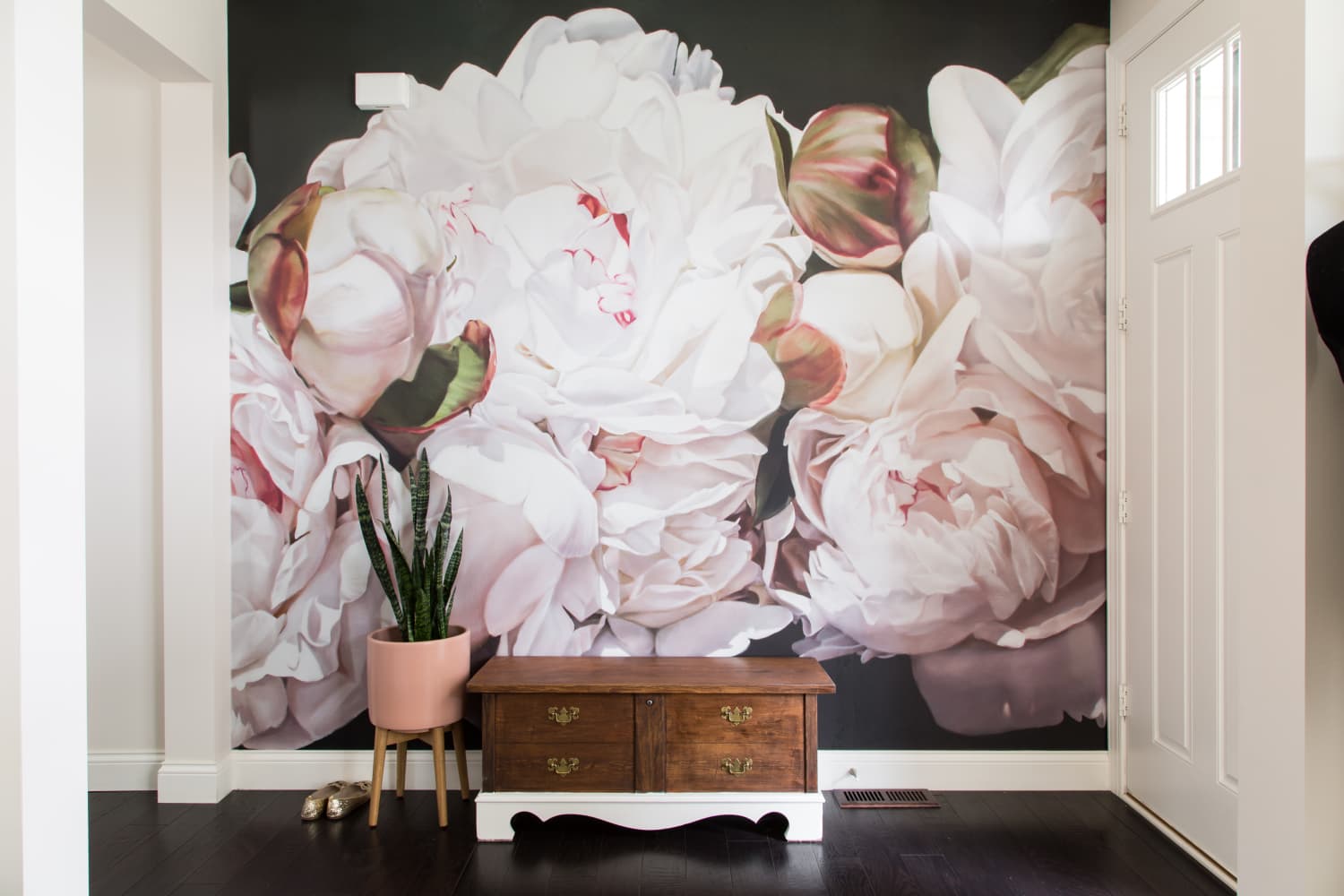 Not For Shrinking Violets: Where to Buy Big, Beautiful, Dramatic ...