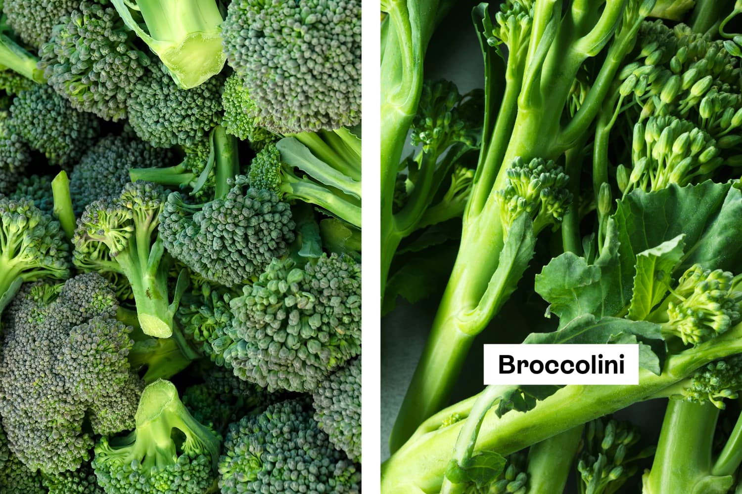 Broccoli vs Broccolini What's the Difference? The Kitchn