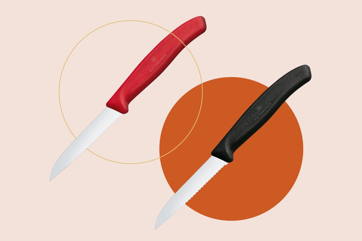 Victorinox Swiss Classic Paring Knife Review 2022 The Kitchn