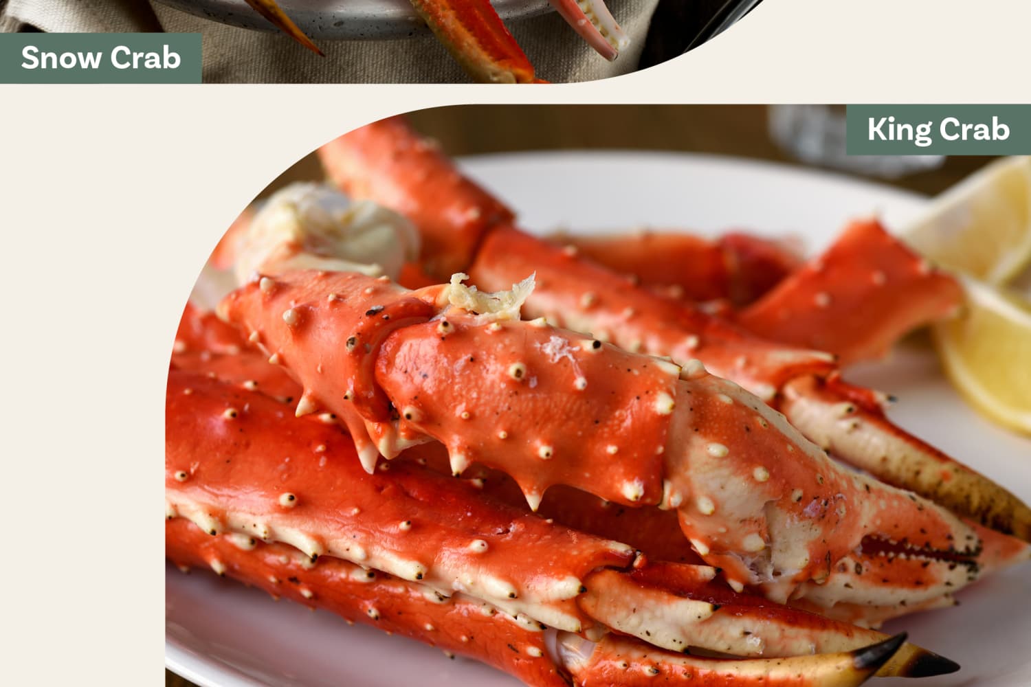 Snow Crab Vs King Crab What Is The Distinction Tasty Made Simple 9827