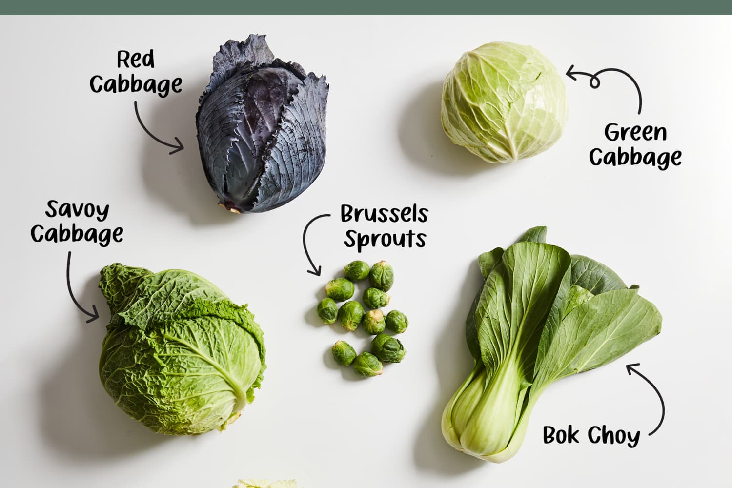 Is red cabbage bad for dogs top