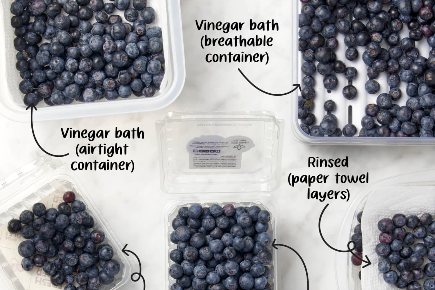 Best Way to Store Blueberries Apartment Therapy