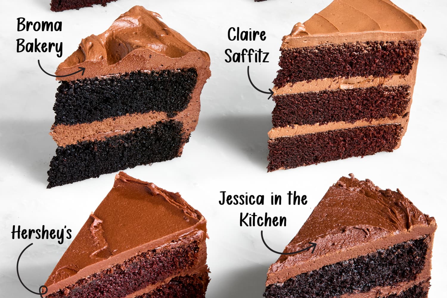 Dog ate whole chocolate hot sale cake