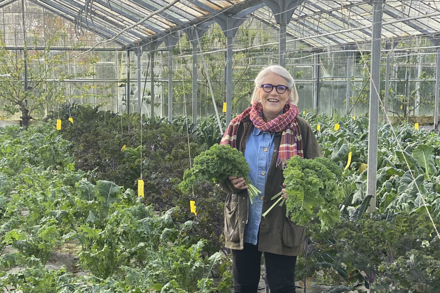 Darina Allen's Recent Articles The Kitchn