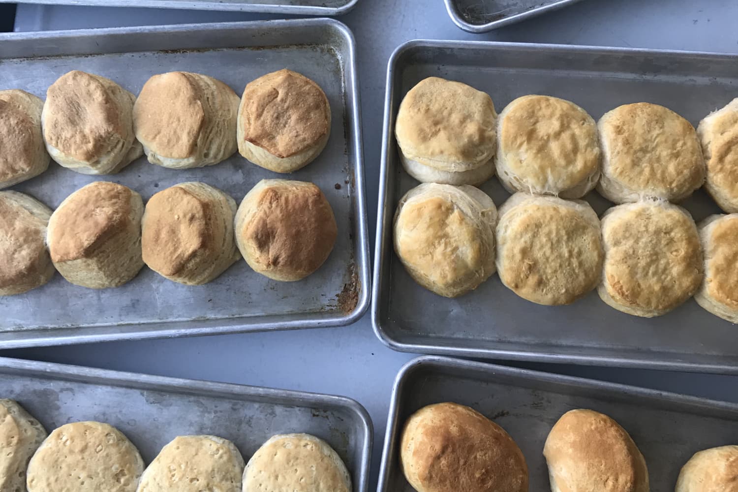 I Tried Nearly a Dozen Tubes of Canned Biscuits and Now This Is the Only One I’ll Buy