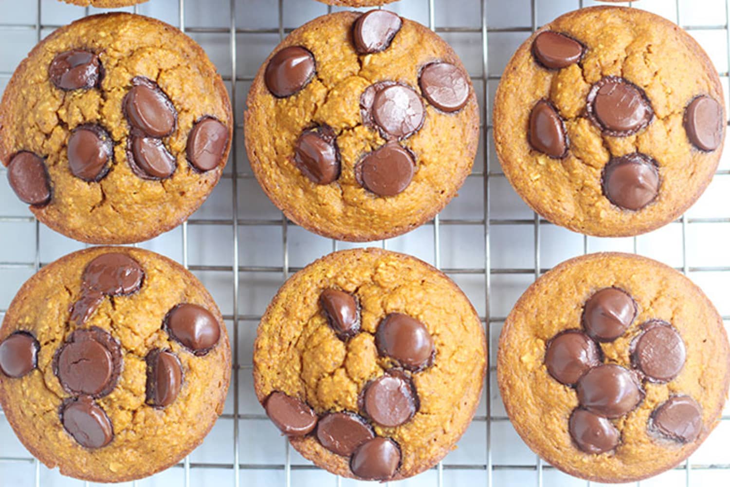 Pumpkin Oatmeal Muffins Yummy Toddler Food The Kitchn