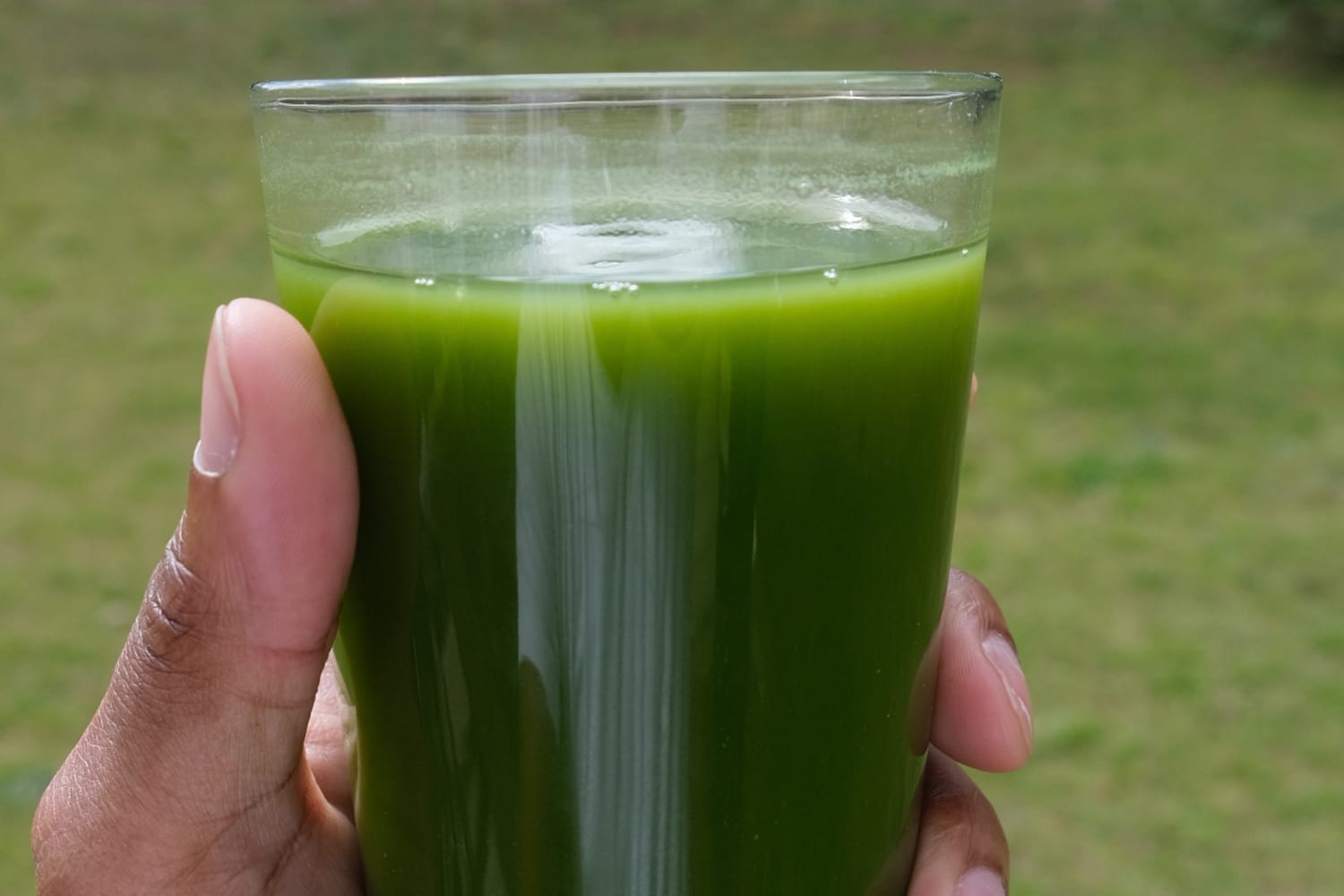 Martha Stewart's Green Juice Recipe is My GoTo Morning Drink The Kitchn