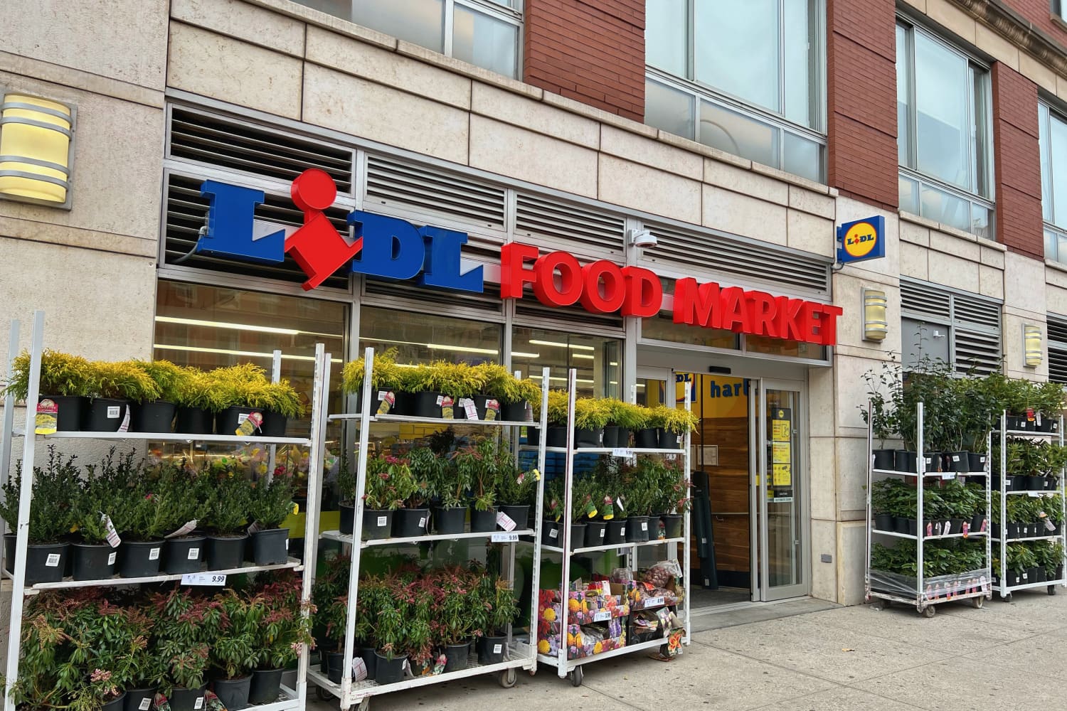 Lidl new ross opening hours hotsell