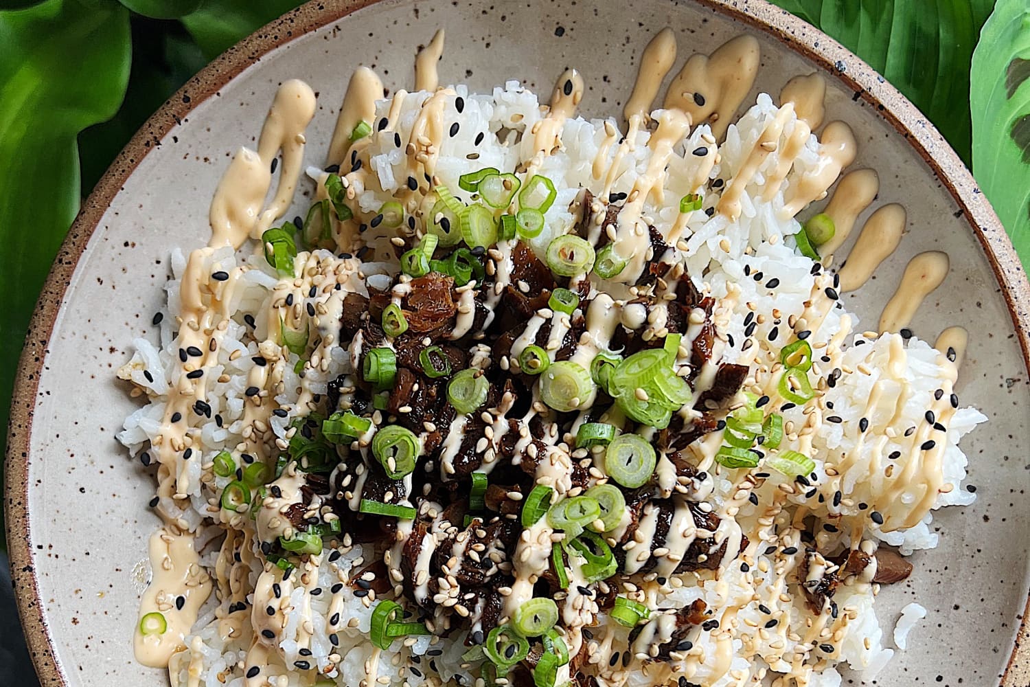tiny-fish-co-rockfish-in-sweet-soy-sauce-review-the-kitchn