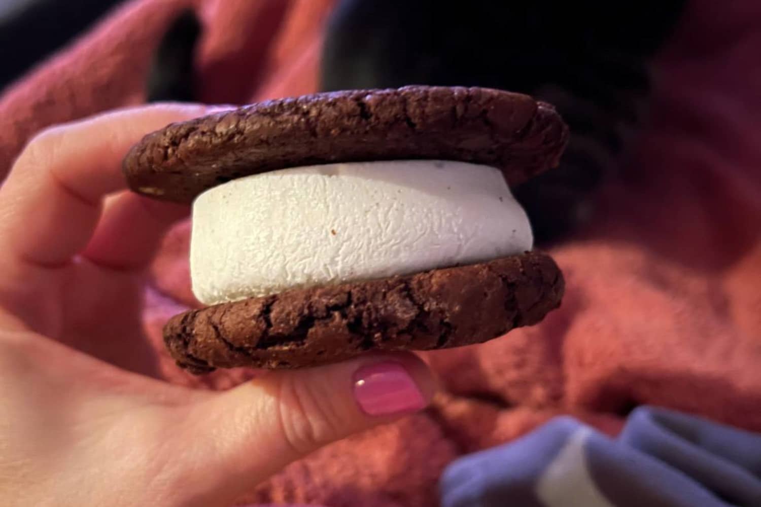 Cool Jacks Ice Cream Sandwiches Review Cubby