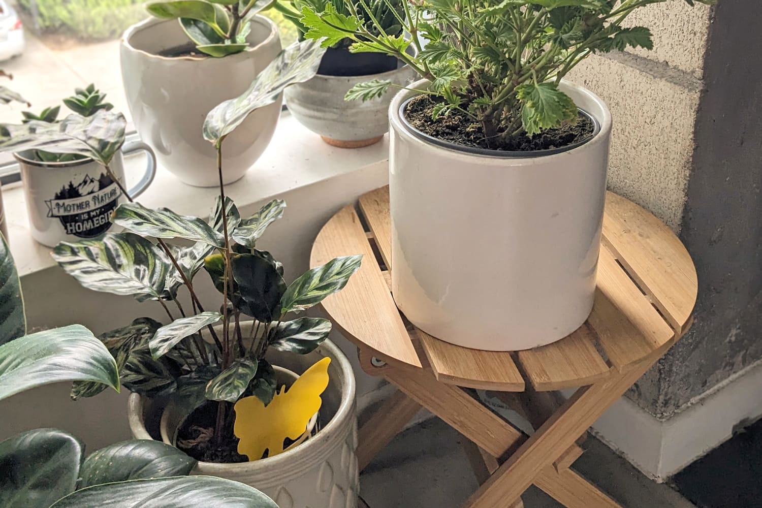 Ant, Gnat, and Fly Repellent Products That Really Work The Kitchn