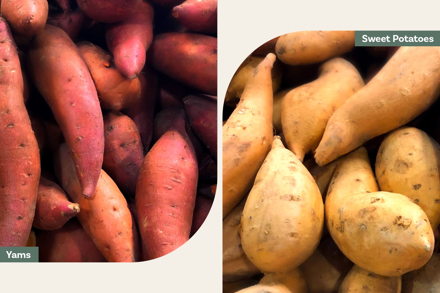 Yam vs Sweet Potato What Exactly Is the Difference? The Kitchn