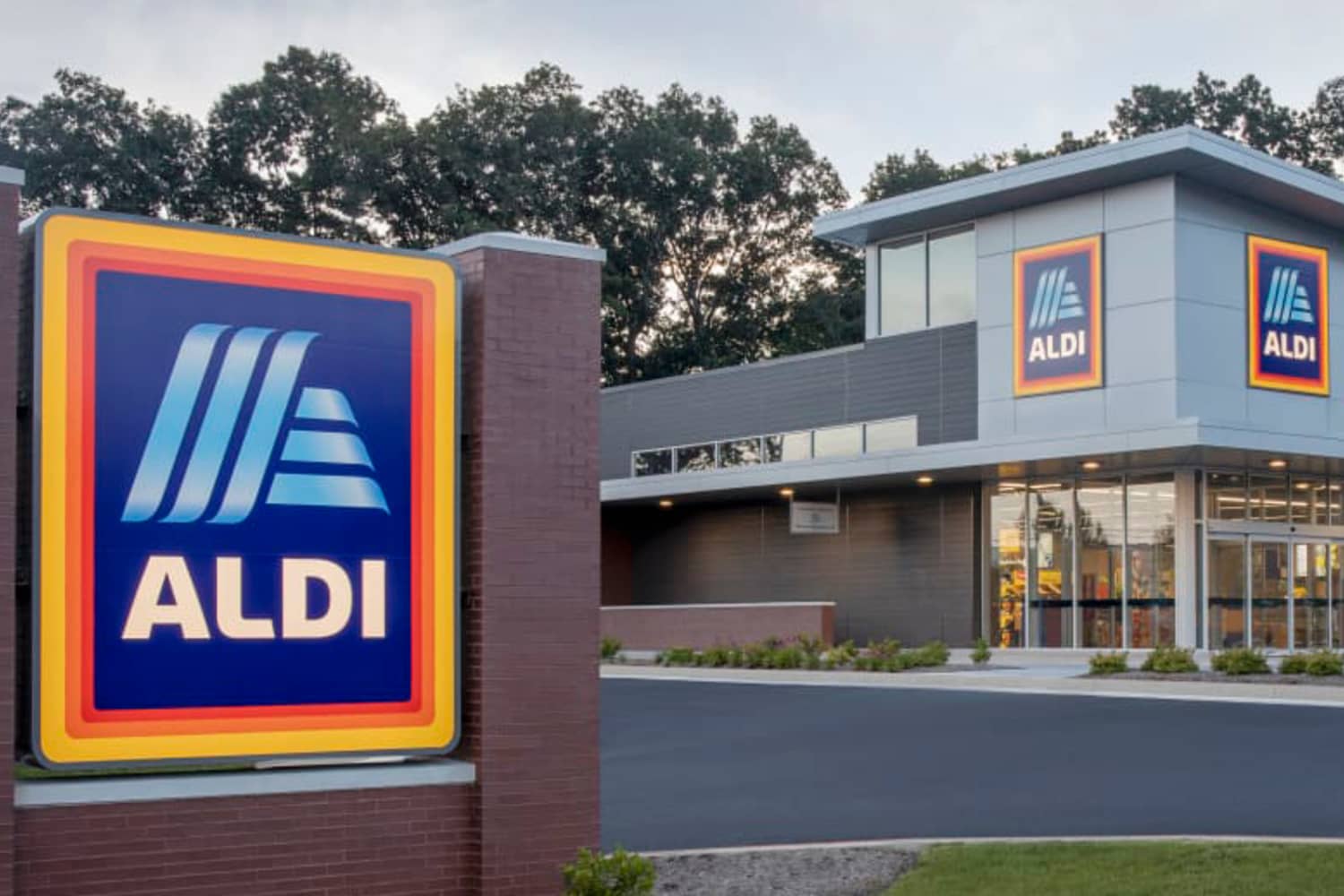 BRB, Running to Aldi For These Just-Leaked New Home and Garden Products