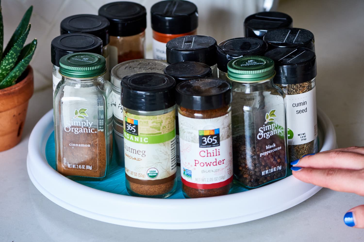 Dark spice jars sales