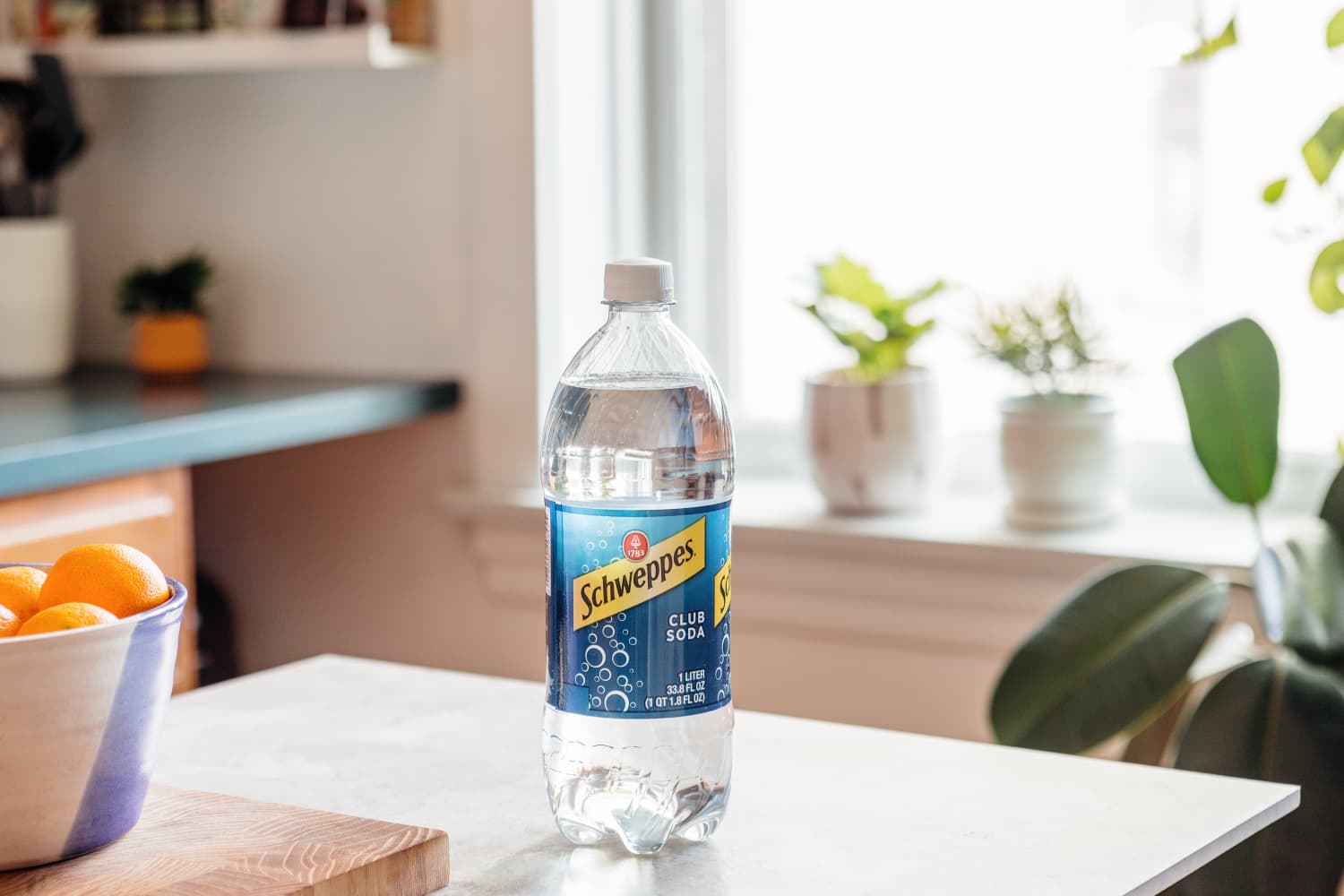 Water Plants with Club Soda Kitchn