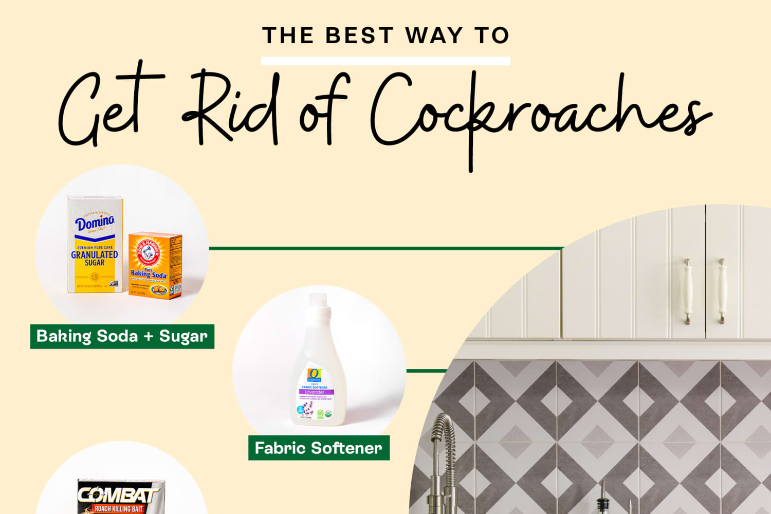 The Best Ways to Get Rid of Cockroaches, According to a Bug Expert