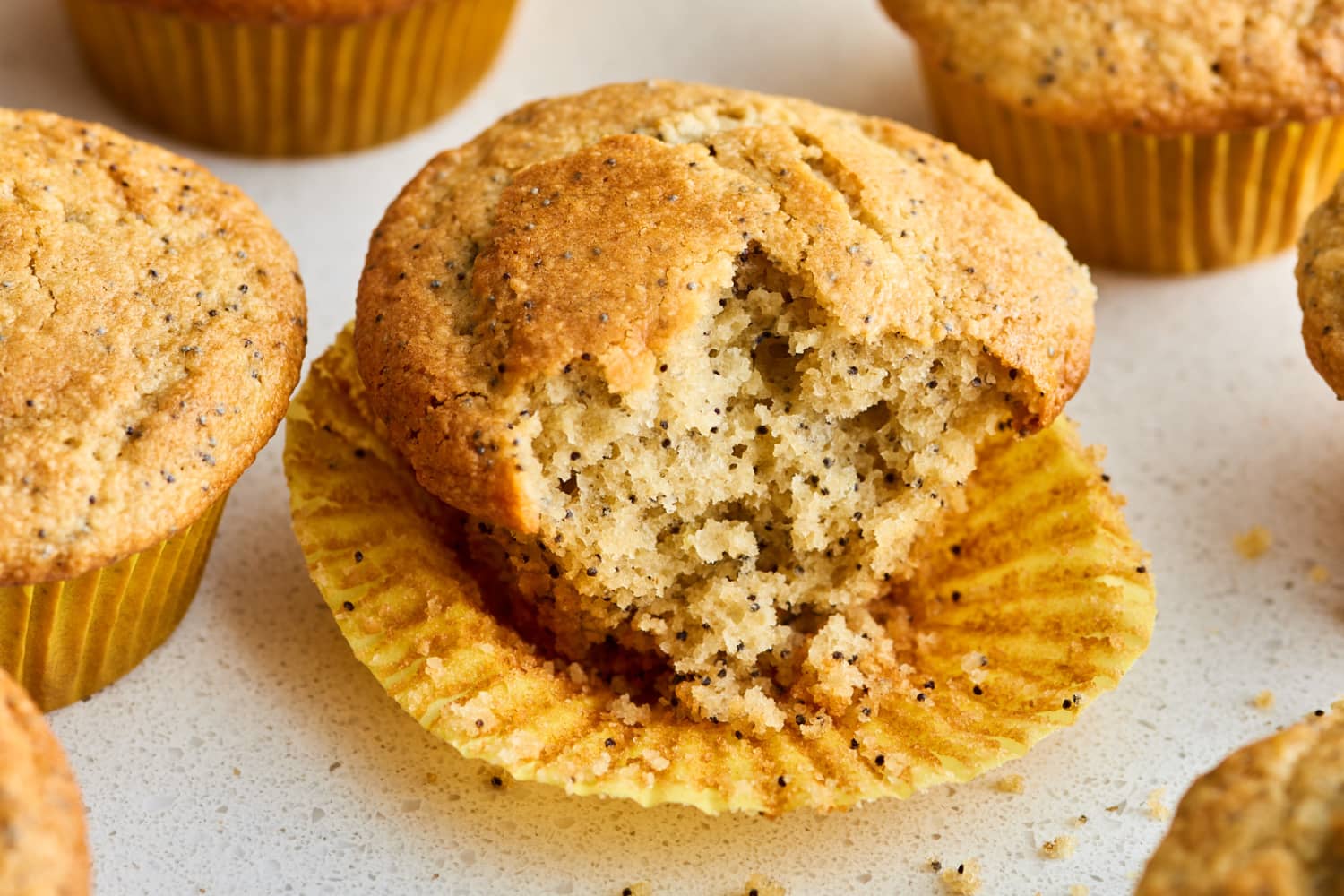 GlutenFree Lemon Poppy Seed Muffins The Kitchn