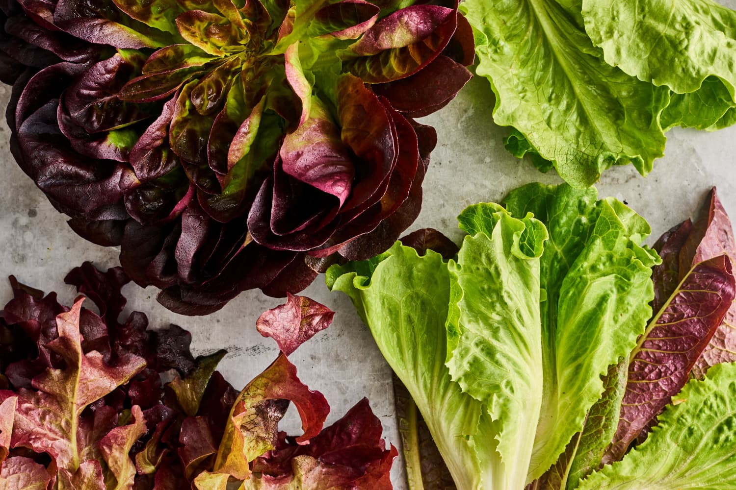 Our Best Romaine Lettuce Recipes, Ideas, and Tips The Kitchn