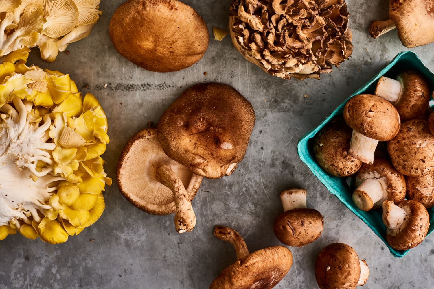 The Best Way to Store Mushrooms The Kitchn
